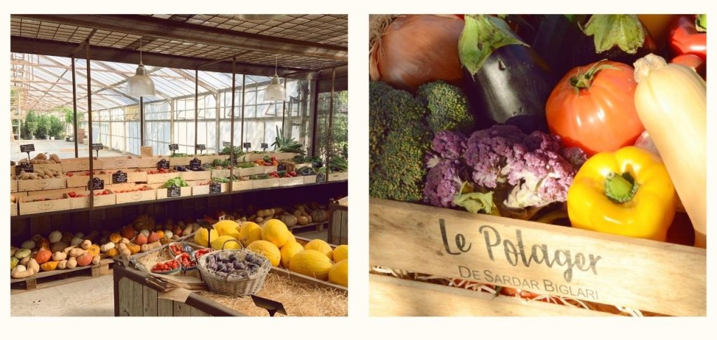 Steak ‘n Shake veut des restaurants Eco responsables