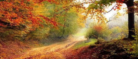 La franchise la Vie Claire confirme son positionnement éco-responsable