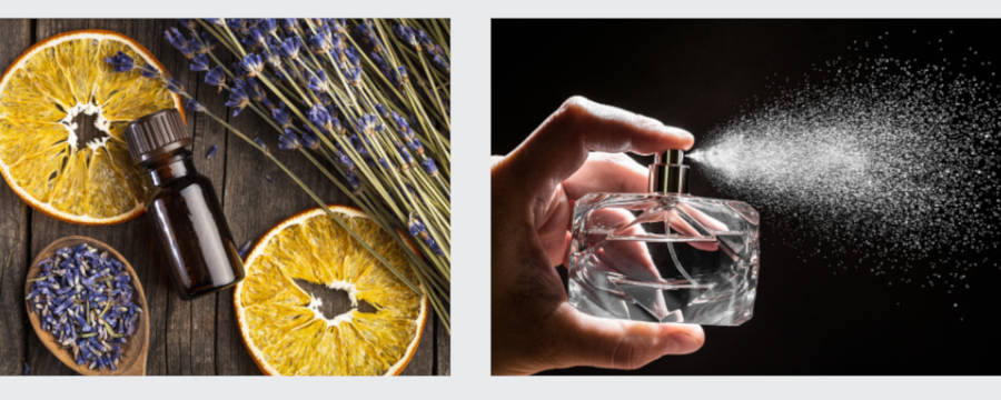 fragrance Passion Beauté