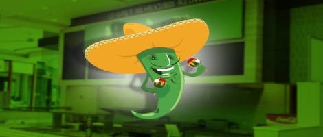 Les restaurants de l’enseigne Nachos reprennent du service