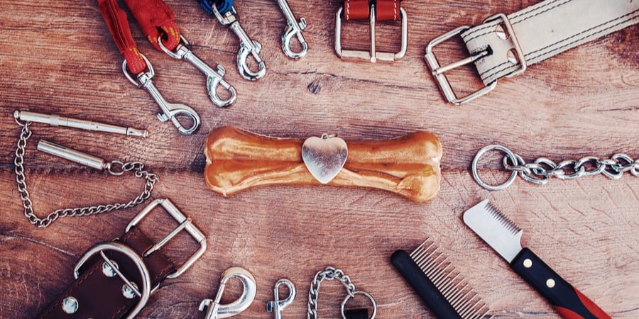 Ouvrir une animalerie, quelle franchise pour réussir ?