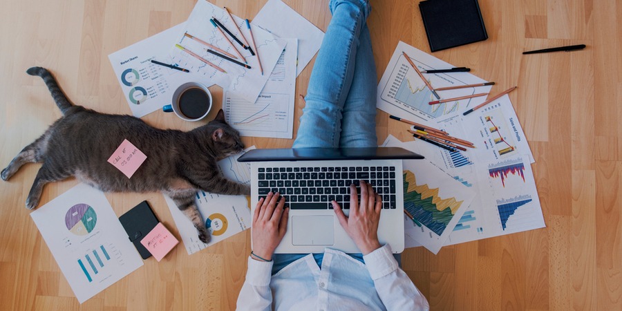 Ouvrir une franchise sans local