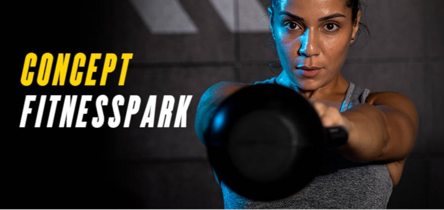 concept sportif Fitness Park