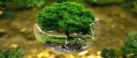 Le réseau Biocoop soutient la pétition contre le retour des néonicotinoïdes