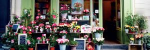 extérieur boutique Au nom de la Rose