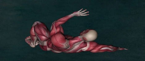 Le réseau CF7 ouvre les portes d’un nouveau centre à Belfort