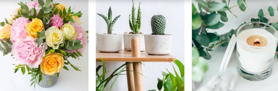 univers Monceau Fleurs