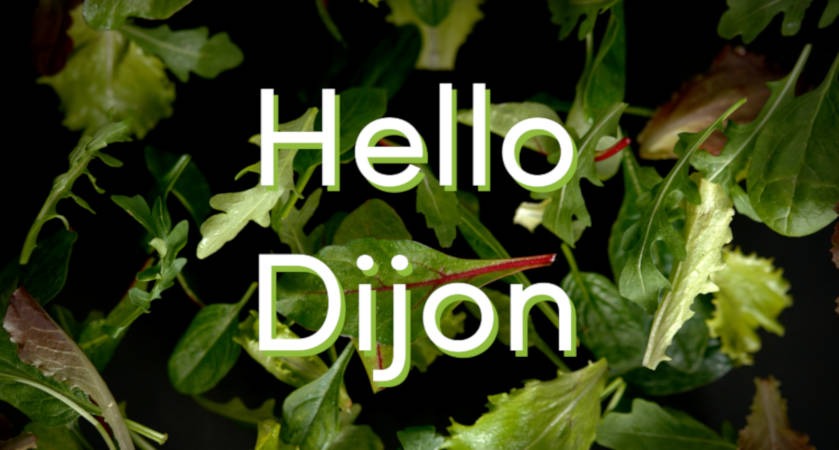 Une nouvelle franchise Eat Salad débarque à Dijon