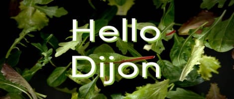 Une nouvelle franchise Eat Salad débarque à Dijon