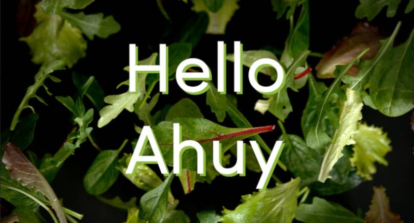 restaurant Ahuy Eat Salad