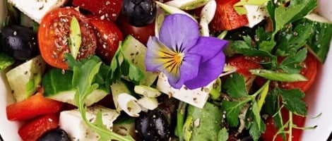 Le réseau Green is Better recrute sur AC Franchise