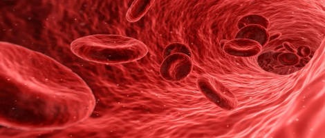 Le réseau Vitalis Médical s’enrichit d’une nouvelle agence Toulonnaise