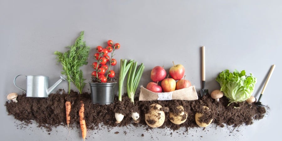 Les français continuent d