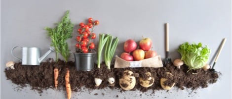 Les français continuent d&rsquo;aimer le bio malgré la baisse du pouvoir d’achat