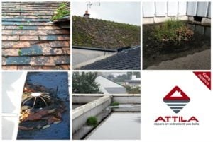 contrat entretien toit attila franchise