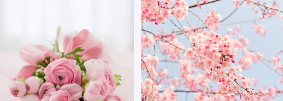 Reconfinement : Les Mousquetaires et Intermarché se mobilisent