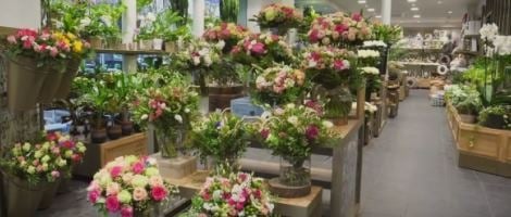 L’école Florale Emova Group propose des formations qualifiantes