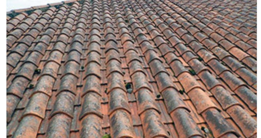 Entretien toiture Attila