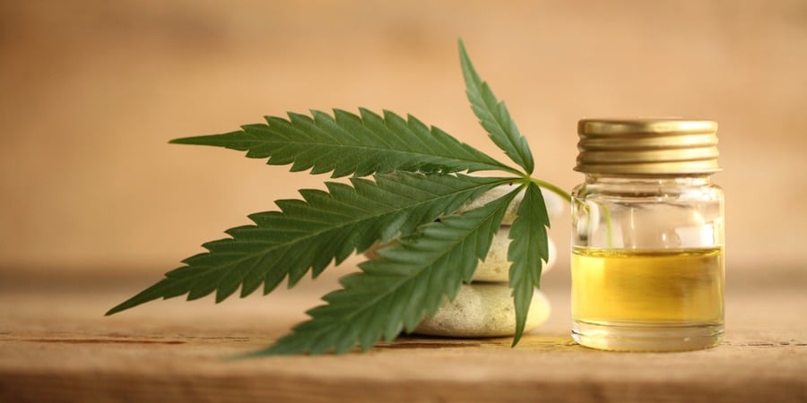 Franchise CBD : Focus sur le marché du cannabis légal en France !