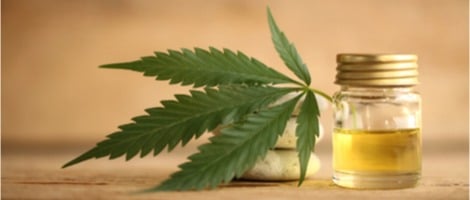 Franchise CBD : Focus sur le marché du cannabis légal en France !