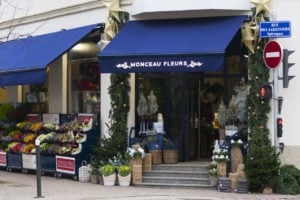 franchise monceau fleurs Strasbourg