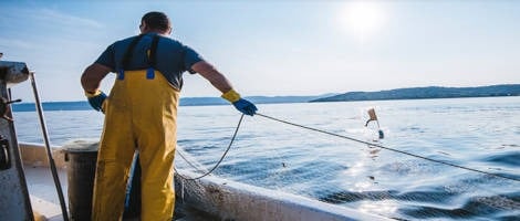 Face à la crise, le réseau Intermarché soutient les pêcheurs français