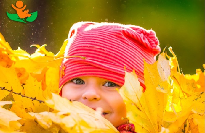 Le réseau Baby Trees a enregistré d’importantes évolutions durant l’année 2020