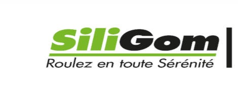 Le réseau SiliGom : Bilan 2020 & Ambitions 2021