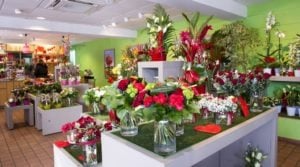 Focus sur le concept de la franchise Le Jardin des Fleurs