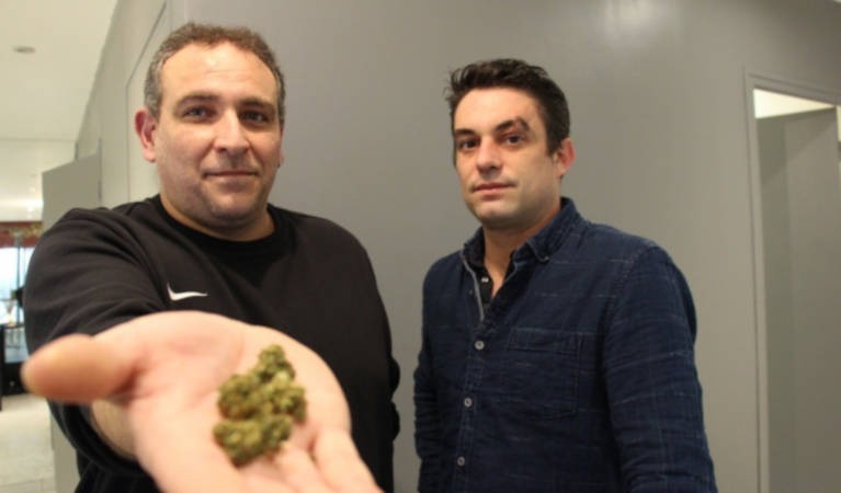 Un nouvelle franchise Green Care débarque à Château-Gontier