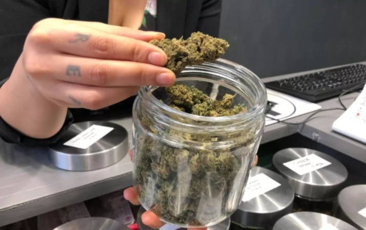 Deux franchises Green Care ouvrent à Chaumes-en-Retz et Combourg