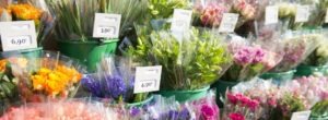Le marché de la fleur selon le franchiseur Le Jardin des Fleurs