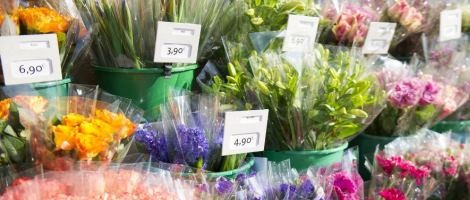 Le marché de la fleur selon le franchiseur Le Jardin des Fleurs !