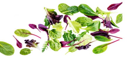 Un nouveau restaurant Green Is Better voit le jour en Guyane