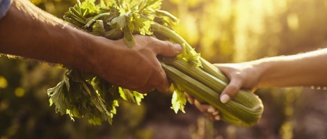 Le réseau Intermarché affiche une belle progression sur le bio