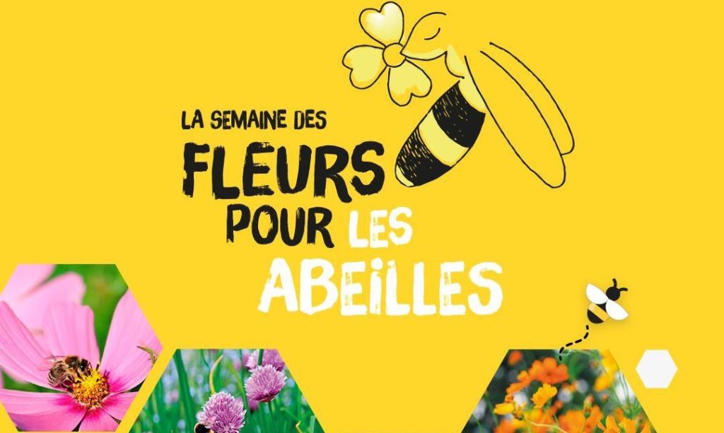 Le Jardin des Fleurs participe à La Semaine des Fleurs pour les Abeilles
