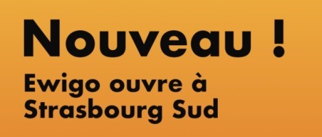 Ewigo signe pour une nouvelle agence franchisée à Strasbourg