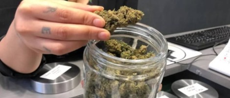 Le réseau Green Care s’implante à Laval, Ploërmel et Rennes