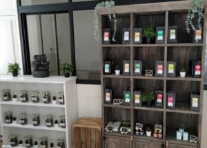 Une nouvelle franchise Green Care ouvre ses portes à Châteaugiron