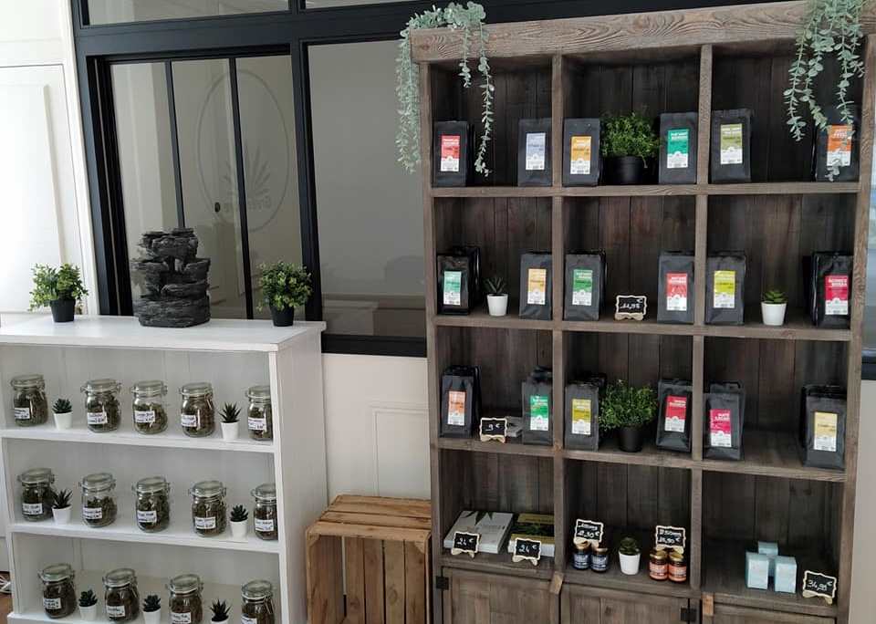 Une nouvelle franchise Green Care ouvre ses portes à Châteaugiron