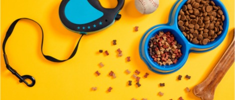 Ouvrir une franchise dans l&rsquo;animalerie : un marché dynamique