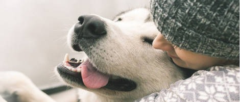 Deux sœurs passionnées intègrent le réseau Pet’s Planet