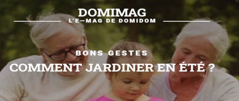 L’enseigne DOMIDOM présente son numéro DOMIMAG spécial été