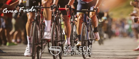 Zoom sur les actualités de la rentrée du réseau Fischer