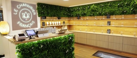 Focus sur le concept de franchise Le Chanvrier Français