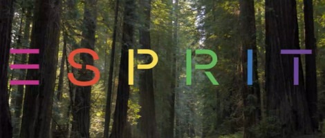 Une nouvelle boutique franchisée Esprit a vu le jour à Beaune