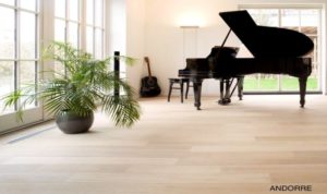 Devenir franchisé Parquet Baratte : Combien ça coûte ?