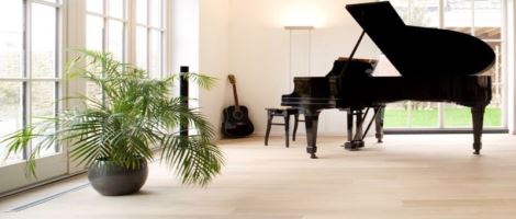 Devenir franchisé Parquet Baratte : Combien ça coûte ?