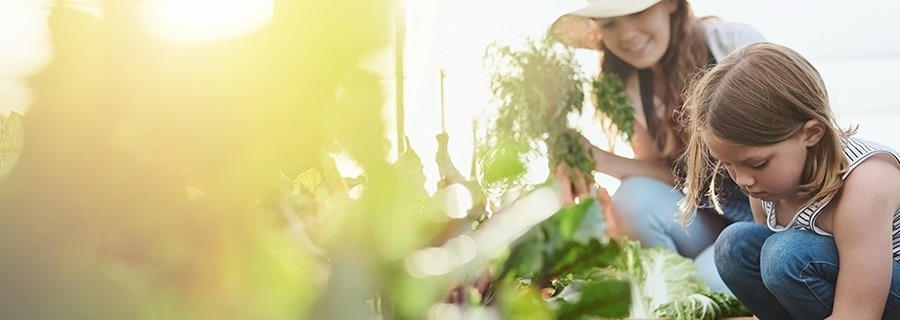 Focus sur le concept de la franchise Les Comptoirs de la Bio