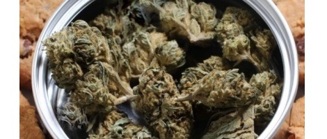 Quelle est la meilleure fleur de CBD ? Explications du Chanvrier Français